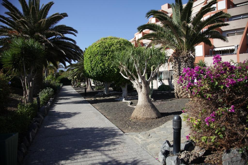Apartamento El Cano Radazul エクステリア 写真
